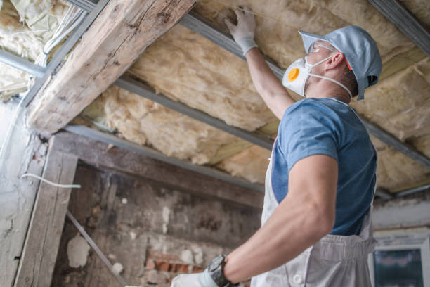 Best Cellulose Insulation in Buckeye Lake, OH