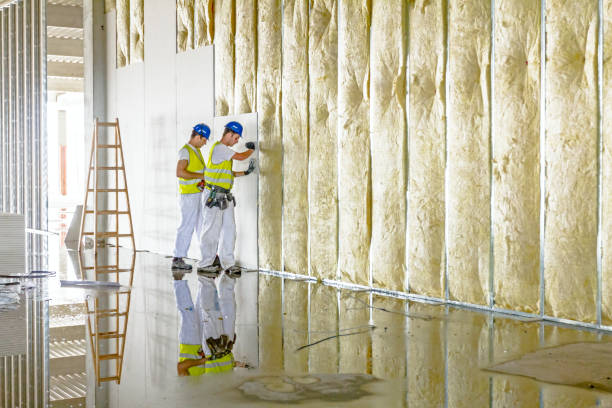 Professional Insulation Contractor in Buckeye Lake, OH